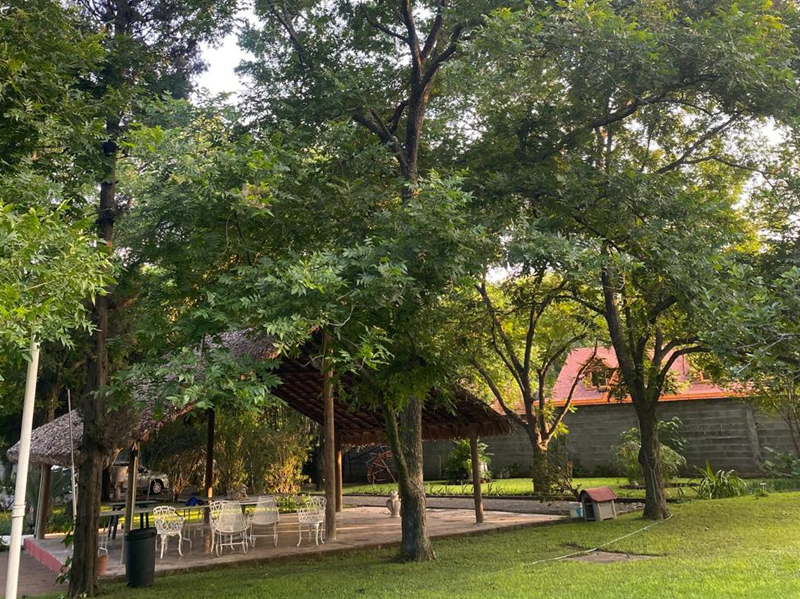 Pérgolas y convivencia