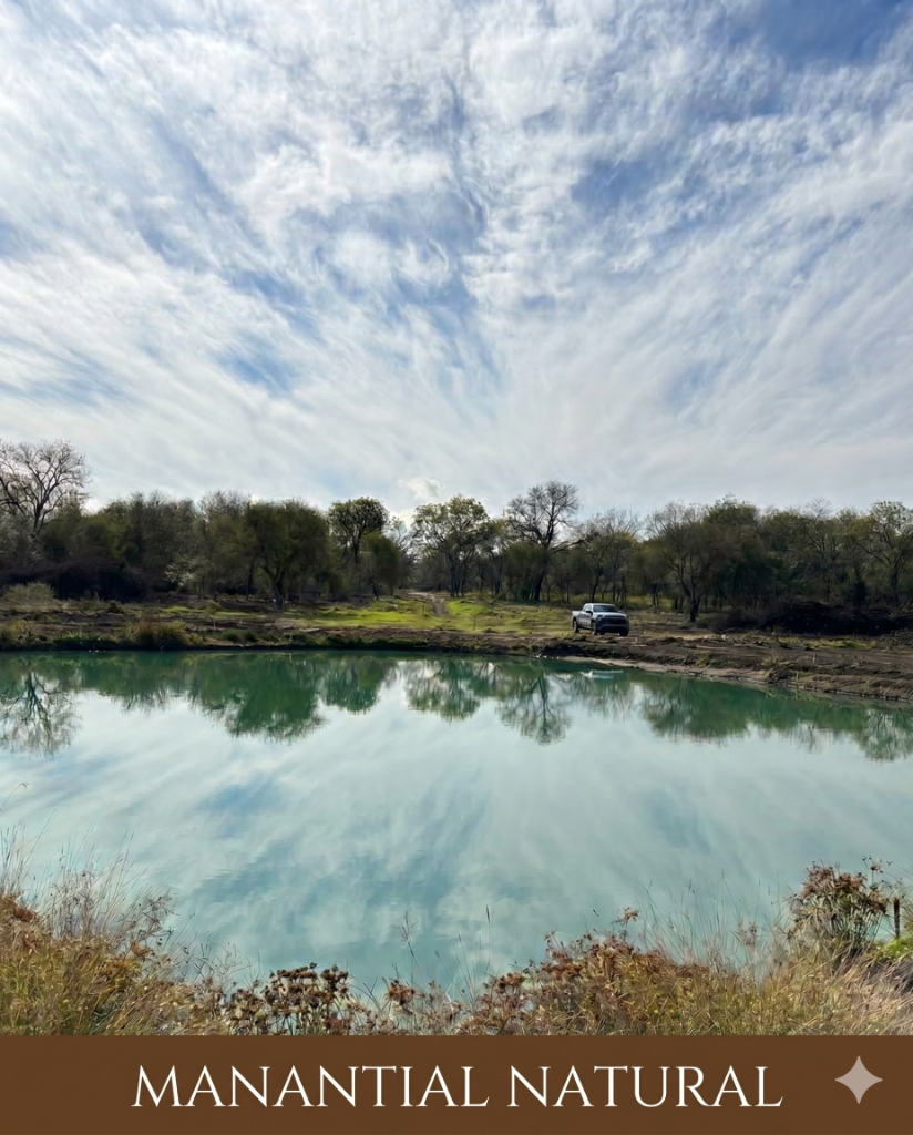 Lago Natural